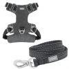 Frisco Outdoor Lightweight Ripstop Nylon Harness, Storm Gray, Small, Neck: 13 to 19-in, Girth: 16 to 22-in + Heathered Dog Leash, Midnight Black, SM - Length: 6-ft, Width: 5/8-in -PetNest Shop 319208 MAIN. SY630 V1631150492