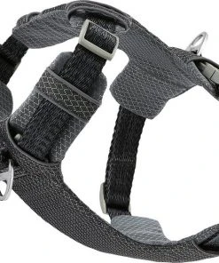 Frisco Outdoor Lightweight Ripstop Nylon Harness, Storm Gray, Small, Neck: 13 to 19-in, Girth: 16 to 22-in + Heathered Dog Leash, Midnight Black, SM - Length: 6-ft, Width: 5/8-in -PetNest Shop 319208 PT3. SY630 V1631153798