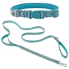 Frisco Outdoor Nylon Reflective Comfort Padded Collar, Bayou Teal, Extra Small, Neck: 8-12-in, Width: 5/8th-in + Dog Leash, Bayou Teal, Small - Length: 6-ft, Width: 5/8-in -PetNest Shop 319212 MAIN. SY630 V1631140273