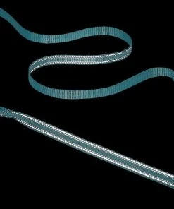 Frisco Outdoor Nylon Reflective Comfort Padded Collar, Bayou Teal, Extra Small, Neck: 8-12-in, Width: 5/8th-in + Dog Leash, Bayou Teal, Small - Length: 6-ft, Width: 5/8-in -PetNest Shop 319212 PT7. SY630 V1631153489