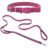 Frisco Outdoor Nylon Reflective Comfort Padded Collar, Boysenberry Purple, Extra Small, Neck: 8-12-in, Width: 5/8th -in + Dog Leash, Boysenberry Purple, Small - Length: 6-ft, Width: 5/8-in -PetNest Shop 319220 MAIN. SY630 V1631148085