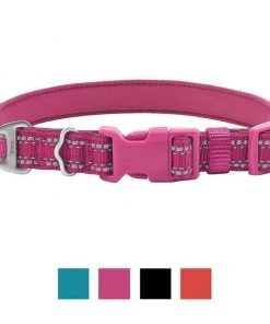 Frisco Outdoor Nylon Reflective Comfort Padded Collar, Boysenberry Purple, Extra Small, Neck: 8-12-in, Width: 5/8th -in + Dog Leash, Boysenberry Purple, Small - Length: 6-ft, Width: 5/8-in -PetNest Shop 319220 PT1. SY630 V1631150199