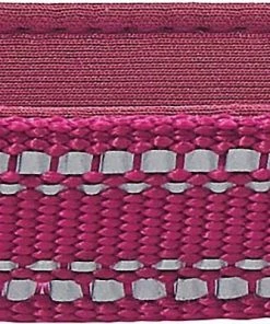 Frisco Outdoor Nylon Reflective Comfort Padded Collar, Boysenberry Purple, Extra Small, Neck: 8-12-in, Width: 5/8th -in + Dog Leash, Boysenberry Purple, Small - Length: 6-ft, Width: 5/8-in -PetNest Shop 319220 PT2. SY630 V1631154092