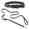 Frisco Outdoor Nylon Reflective Comfort Padded Collar, Midnight Black, SM - Neck: 10-14-in, Width: 5/8-in + Dog Leash, Midnight Black, SM - Length: 6-ft, Width: 5/8-in -PetNest Shop 319232 MAIN. SY630 V1631150195