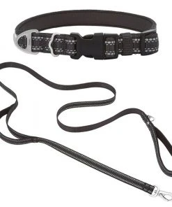 Frisco Outdoor Nylon Reflective Comfort Padded Collar, Midnight Black, SM - Neck: 10-14-in, Width: 5/8-in + Dog Leash, Midnight Black, SM - Length: 6-ft, Width: 5/8-in