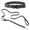 Frisco Outdoor Nylon Reflective Comfort Padded Collar, Midnight Black, XS, Neck: 8-12-in, Width: 5/8th -in + Dog Leash, Midnight Black, SM - Length: 6-ft, Width: 5/8-in