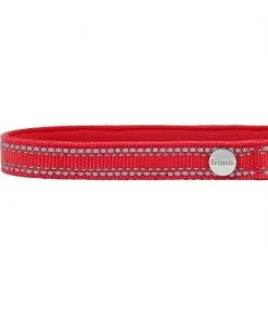 Frisco Outdoor Nylon Reflective Comfort Padded Collar, Sunset Orange, Large, Neck: 18 -26-in, Width: 1-in + Dog Leash, Sunset Orange, Large - Length: 6-ft, Width: 1-in -PetNest Shop 319238 PT2. SY630 V1631160107