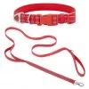 Frisco Outdoor Nylon Reflective Comfort Padded Collar, Sunset Orange, Medium - Neck: 14-20-in, Width: 3/4-in + Dog Leash, Sunset Orange, Medium - Length: 6-ft, Width: 3/4-in -PetNest Shop 319240 MAIN. SY630 V1631152590