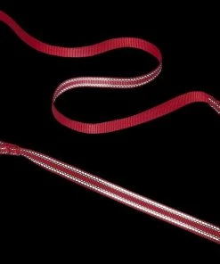 Frisco Outdoor Nylon Reflective Comfort Padded Collar, Sunset Orange, Medium - Neck: 14-20-in, Width: 3/4-in + Dog Leash, Sunset Orange, Medium - Length: 6-ft, Width: 3/4-in -PetNest Shop 319240 PT7. SY630 V1631151974