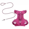Frisco Outdoor Premium Ripstop Nylon Harness with Pocket, Boysenberry Purple, Extra Large, Neck: 22 to 34-in, Girth: 32 to 44-in + Waterproof Stinkproof PVC Rope Leash, Shadow Purple, 6 Ft. -PetNest Shop 319272 MAIN. SY630 V1631206296