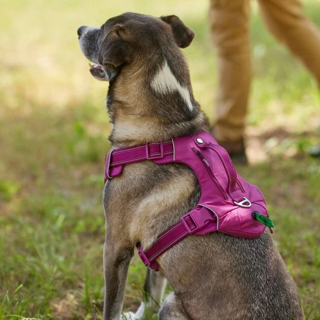 Frisco Outdoor Premium Ripstop Nylon Harness with Pocket, Boysenberry Purple, Extra Large, Neck: 22 to 34-in, Girth: 32 to 44-in + Waterproof Stinkproof PVC Rope Leash, Shadow Purple, 6 Ft. 7 Frisco Outdoor Premium Ripstop Nylon Harness with Pocket, Boysenberry Purple, Extra Large, Neck: 22 to 34-in, Girth: 32 to 44-in + Waterproof Stinkproof PVC Rope Leash, Shadow Purple, 6 Ft. - Image 5