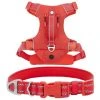 Frisco Outdoor Premium Ripstop Nylon Harness with Pocket, Sunset Orange, Large, Neck: 18 to 28-in, Girth 24 to 34-in + Reflective Comfort Padded Dog Collar, Sunset Orange, Large, Neck: 18 -26-in, Width: 1-in -PetNest Shop 319314 MAIN. SY630 V1630620992