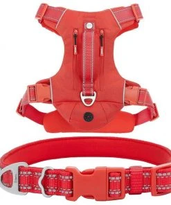 Frisco Outdoor Premium Ripstop Nylon Harness with Pocket, Sunset Orange, Large, Neck: 18 to 28-in, Girth 24 to 34-in + Reflective Comfort Padded Dog Collar, Sunset Orange, Large, Neck: 18 -26-in, Width: 1-in