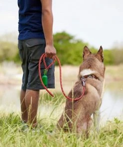 Frisco Outdoor Premium Ripstop Nylon Harness with Pocket, Sunset Orange, Large, Neck: 18 to 28-in, Girth 24 to 34-in + Waterproof Stinkproof PVC Rope Leash, Sunset Orange, 6 Ft. -PetNest Shop 319318 PT8. SY630 V1630623401