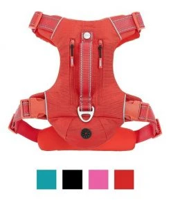 Frisco Outdoor Premium Ripstop Nylon Harness with Pocket, Sunset Orange, Medium, Neck: 15 to 23-in, Girth, 20 to 28-in + Reflective Comfort Padded Dog Leash, Sunset Orange, Medium - Length: 6-ft, Width: 3/4-in -PetNest Shop 319322 PT1. SY630 V1631151696
