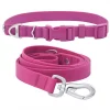 Frisco Outdoor Solid Textured Waterproof Stink Proof PVC Collar, Boysenberry Purple, Large, Neck: 18 ½ 26-in, Width: 1-in + Dog Leash, Boysenberry Purple, Large - Length: 6-ft, Width: 1-in -PetNest Shop 319334 MAIN. SY630 V1631155897