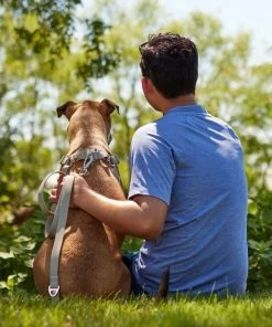 Frisco Outdoor Solid Textured Waterproof Stink Proof PVC Collar, Storm Gray, Extra Small - Neck: 8-12-in, Width: 5/8th-in + Dog Leash, Storm Gray, Small - Length: 6-ft, Width: 5/8-in -PetNest Shop 319348 PT7. SY630 V1631157978