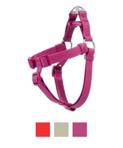 Frisco Outdoor Solid Textured Waterproof Stink Proof PVC Harness, Boysenberry Purple, Medium, Neck: 16 to 22-in, Girth: 19 to 29-in + Dog Leash, Boysenberry Purple, Medium - Length: 6-ft, Width: 3/4-in -PetNest Shop 319358 PT1. SY630 V1631151695