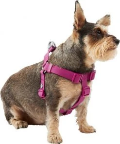 Frisco Outdoor Solid Textured Waterproof Stink Proof PVC Harness, Boysenberry Purple, Medium, Neck: 16 to 22-in, Girth: 19 to 29-in + Dog Leash, Boysenberry Purple, Medium - Length: 6-ft, Width: 3/4-in -PetNest Shop 319358 PT2. SY630 V1631153195