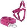 Frisco Outdoor Solid Textured Waterproof Stink Proof PVC Harness, Boysenberry Purple, Small, Neck: 14 to 19-in, Girth: 16 to 23-in + Dog Leash, Boysenberry Purple, Small - Length: 6-ft, Width: 5/8-in -PetNest Shop 319360 MAIN. SY630 V1631149281
