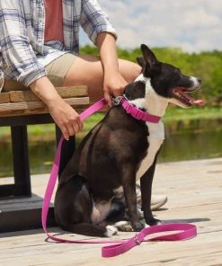 Frisco Outdoor Solid Textured Waterproof Stink Proof PVC Harness, Boysenberry Purple, Small, Neck: 14 to 19-in, Girth: 16 to 23-in + Dog Leash, Boysenberry Purple, Small - Length: 6-ft, Width: 5/8-in -PetNest Shop 319360 PT7. SY630 V1631138491
