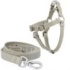 Frisco Outdoor Solid Textured Waterproof Stink Proof PVC Harness, Storm Gray, Medium, Neck: 16 to 22-in, Girth: 19 to 29-in + Dog Leash, Storm Gray, Medium - Length: 6-ft, Width: 3/4-in -PetNest Shop 319366 MAIN. SY630 V1631154085
