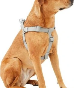 Frisco Outdoor Solid Textured Waterproof Stink Proof PVC Harness, Storm Gray, Medium, Neck: 16 to 22-in, Girth: 19 to 29-in + Dog Leash, Storm Gray, Medium - Length: 6-ft, Width: 3/4-in -PetNest Shop 319366 PT2. SY630 V1631140305