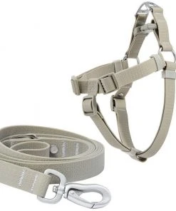 Frisco Outdoor Solid Textured Waterproof Stink Proof PVC Harness, Storm Gray, Small, Neck: 14 to 19-in, Girth: 16 to 23-in + Dog Leash, Storm Gray, Small - Length: 6-ft, Width: 5/8-in