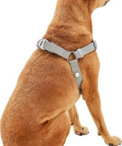 Frisco Outdoor Solid Textured Waterproof Stink Proof PVC Harness, Storm Gray, Small, Neck: 14 to 19-in, Girth: 16 to 23-in + Dog Leash, Storm Gray, Small - Length: 6-ft, Width: 5/8-in -PetNest Shop 319368 PT3. SY630 V1631159780