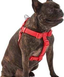 Frisco Outdoor Solid Textured Waterproof Stink Proof PVC Harness, Sunset Orage, Large, Neck: 19 to 27-in, Girth: 23 to 36-in + Dog Leash, Sunset Orange, LG - Length: 6-ft, Width: 1-in 13 Frisco Outdoor Solid Textured Waterproof Stink Proof PVC Harness, Sunset Orage, Large, Neck: 19 to 27-in, Girth: 23 to 36-in + Dog Leash, Sunset Orange, LG - Length: 6-ft, Width: 1-in -PetNest Shop 319372 PT2. SY630 V1631152598