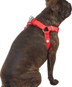 Frisco Outdoor Solid Textured Waterproof Stink Proof PVC Harness, Sunset Orage, Large, Neck: 19 to 27-in, Girth: 23 to 36-in + Dog Leash, Sunset Orange, LG - Length: 6-ft, Width: 1-in 14 Frisco Outdoor Solid Textured Waterproof Stink Proof PVC Harness, Sunset Orage, Large, Neck: 19 to 27-in, Girth: 23 to 36-in + Dog Leash, Sunset Orange, LG - Length: 6-ft, Width: 1-in -PetNest Shop 319372 PT3. SY630 V1631155600