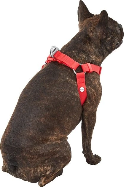 Frisco Outdoor Solid Textured Waterproof Stink Proof PVC Harness, Sunset Orage, Large, Neck: 19 to 27-in, Girth: 23 to 36-in + Dog Leash, Sunset Orange, LG - Length: 6-ft, Width: 1-in 6 Frisco Outdoor Solid Textured Waterproof Stink Proof PVC Harness, Sunset Orage, Large, Neck: 19 to 27-in, Girth: 23 to 36-in + Dog Leash, Sunset Orange, LG - Length: 6-ft, Width: 1-in - Image 4