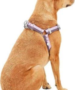 Frisco Outdoor Two Tone Waterproof Stinkproof PVC Harness, Flamepoint Orange,Extra Large, Neck: 22 to 33-in, Girth: 32 to 44-in + Outdoor Two Tone Waterproof Stinkproof PVC Harness, Shadow Purple, Large, Neck: 19 to 27-in, Girth: 23 to 36-in -PetNest Shop 319386 PT7. SY630 V1630618600