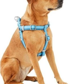 Frisco Outdoor Two Tone Waterproof Stinkproof PVC Harness, River Blue, Large, Neck: 19 to 27-in, Girth: 23 to 36-in + Dog Collar, River Blue, Large, Neck: 18 ½- 26-in, Width: 1-in -PetNest Shop 319390 PT2. SY630 V1631149879