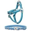 Frisco Outdoor Two Tone Waterproof Stinkproof PVC Harness, River Blue, Small, Neck: 14 to 19-in, Girth: 16 to 23-in + Dog Collar, River Blue, Small - Neck: 10½-14-in, Width: 5/8-in