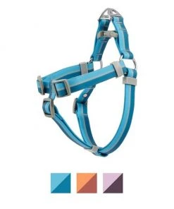 Frisco Outdoor Two Tone Waterproof Stinkproof PVC Harness, River Blue, Small, Neck: 14 to 19-in, Girth: 16 to 23-in + Dog Collar, River Blue, Small - Neck: 10½-14-in, Width: 5/8-in -PetNest Shop 319394 PT1. SY630 V1631154697
