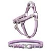 Frisco Outdoor Two Tone Waterproof Stinkproof PVC Harness, Shadow Purple,Extra Large, Neck: 22 to 33-in, Girth: 32 to 44-in + Dog Collar, Boysenberry Purple, Large, Neck: 18 ½- 26-in, Width: 1-in -PetNest Shop 319406 MAIN. SY630 V1631156185