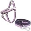 Frisco Outdoor Two Tone Waterproof Stinkproof PVC Harness, Shadow Purple,Extra Large, Neck: 22 to 33-in, Girth: 32 to 44-in + Dog Leash, Boysenberry Purple, Large - Length: 6-ft, Width: 1-in -PetNest Shop 319408 MAIN. SY630 V1631138210