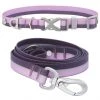 Frisco Outdoor Two Toned Waterproof Stink Proof PVC Collar, Boysenberry Purple, Large, Neck: 18 ½ 26-in, Width: 1-in + Dog Leash, Boysenberry Purple, Large - Length: 6-ft, Width: 1-in -PetNest Shop 319412 MAIN. SY630 V1631157991