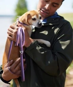 Frisco Outdoor Two Toned Waterproof Stink Proof PVC Collar, Boysenberry Purple, Small - Neck: 10½14-in, Width: 5/8-in + Dog Leash, Boysenberry Purple, Small - Length: 6-ft, Width: 5/8-in -PetNest Shop 319416 PT7. SY630 V1631150178