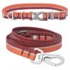 Frisco Outdoor Two Toned Waterproof Stink Proof PVC Collar, Flamepoint Orange, Medium - Neck: 14½20-in, Width: 3/4-in + Dog Leash, Sunset Orange, Medium - Length: 6-ft, Width: 3/4-in