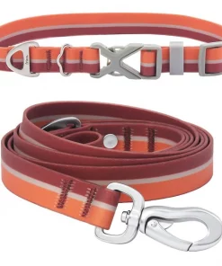 Frisco Outdoor Two Toned Waterproof Stink Proof PVC Collar, Flamepoint Orange, Medium - Neck: 14½20-in, Width: 3/4-in + Dog Leash, Sunset Orange, Medium - Length: 6-ft, Width: 3/4-in