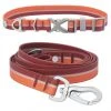 Frisco Outdoor Two Toned Waterproof Stink Proof PVC Collar, Flamepoint Orange, Small - Neck: 10½14-in, Width: 5/8-in + Dog Leash, Sunset Orange, Small - Length: 6-ft, Width: 5/8-in -PetNest Shop 319424 MAIN. SY630 V1631143270