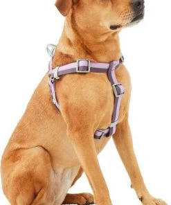 Frisco Outdoor Two Toned Waterproof Stink Proof PVC Leash, Boysenberry Purple, Small - Length: 6-ft, Width: 5/8-in + Dog Harness, Shadow Purple, Small, Neck: 14 to 19-in, Girth: 16 to 23-in -PetNest Shop 319438 PT5. SY630 V1631145695