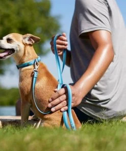 Frisco Outdoor Two Toned Waterproof Stink Proof PVC Leash, River Blue, Large - Length: 6-ft, Width: 1-in + Dog Harness, River Blue, Large, Neck: 19 to 27-in, Girth: 23 to 36-in 14 Frisco Outdoor Two Toned Waterproof Stink Proof PVC Leash, River Blue, Large - Length: 6-ft, Width: 1-in + Dog Harness, River Blue, Large, Neck: 19 to 27-in, Girth: 23 to 36-in -PetNest Shop 319440 PT3. SY630 V1631155296