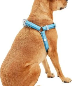Frisco Outdoor Two Toned Waterproof Stink Proof PVC Leash, River Blue, Large - Length: 6-ft, Width: 1-in + Dog Harness, River Blue, Large, Neck: 19 to 27-in, Girth: 23 to 36-in 17 Frisco Outdoor Two Toned Waterproof Stink Proof PVC Leash, River Blue, Large - Length: 6-ft, Width: 1-in + Dog Harness, River Blue, Large, Neck: 19 to 27-in, Girth: 23 to 36-in -PetNest Shop 319440 PT6. SY630 V1631154094
