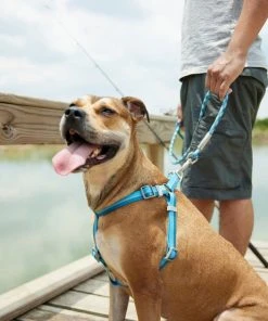 Frisco Outdoor Two Toned Waterproof Stink Proof PVC Leash, River Blue, Large - Length: 6-ft, Width: 1-in + Dog Harness, River Blue, Large, Neck: 19 to 27-in, Girth: 23 to 36-in 19 Frisco Outdoor Two Toned Waterproof Stink Proof PVC Leash, River Blue, Large - Length: 6-ft, Width: 1-in + Dog Harness, River Blue, Large, Neck: 19 to 27-in, Girth: 23 to 36-in -PetNest Shop 319440 PT8. SY630 V1631148377