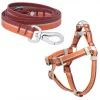 Frisco Outdoor Two Toned Waterproof Stink Proof PVC Leash, Sunset Orange, Large - Length: 6-ft, Width: 1-in + Dog Harness, Flamepoint Orange, Large, Neck: 19 to 27-in, Girth: 23 to 36-in -PetNest Shop 319446 MAIN. SY630 V1631149006
