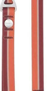 Frisco Outdoor Two Toned Waterproof Stink Proof PVC Leash, Sunset Orange, Medium - Length: 6-ft, Width: 3/4-in + Dog Harness, Flamepoint Orange, Medium, Neck: 16 to 22-in, Girth: 19 to 29-in -PetNest Shop 319448 PT2. SY630 V1631157075