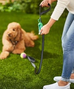 Frisco Traffic Leash with Padded Handles & Poop Bag Dispenser, Black, Length: 6ft, Width: 1-in + Refill Dog Poop Bags, Scented, 120 count -PetNest Shop 319512 PT4. SY630 V1630617698